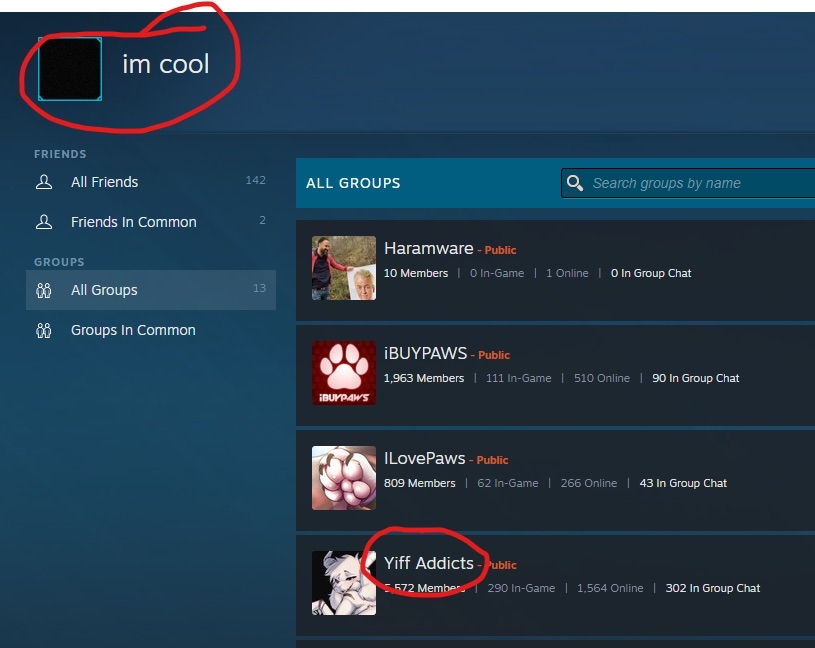 ChloeProof18.png